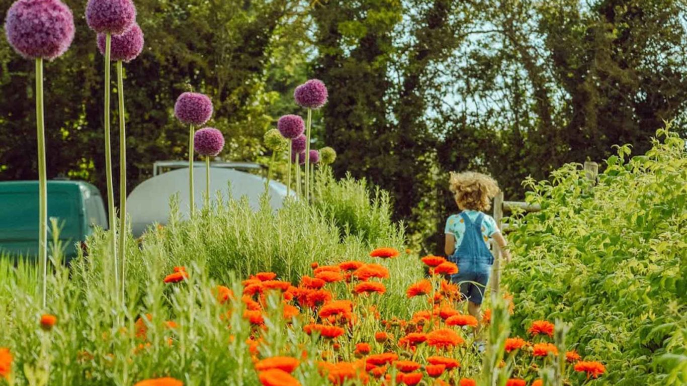 Kids Organic Garden