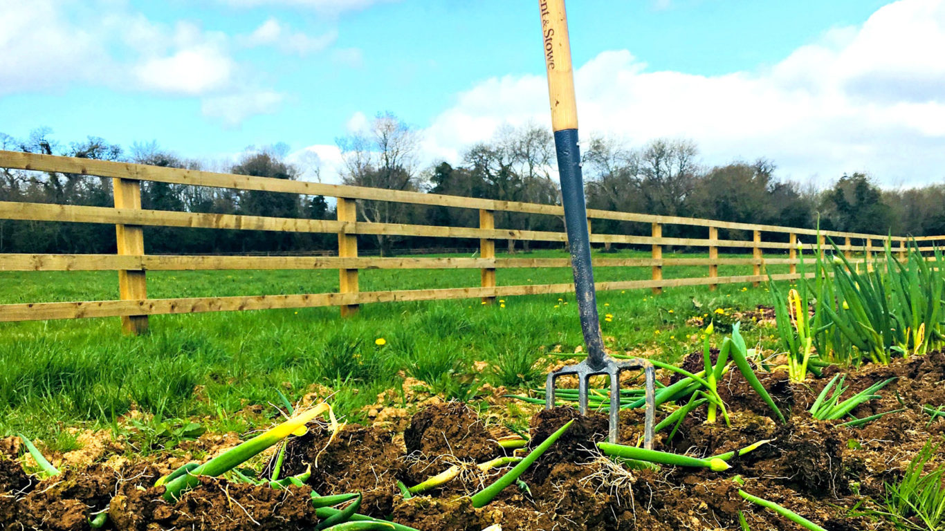 garden fork 1920 x 1080__