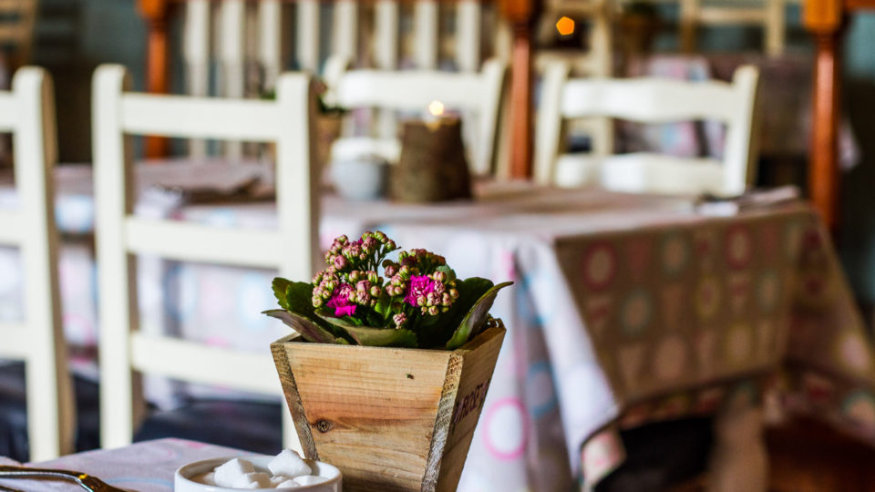 timmys table close up 1920 x 1080__