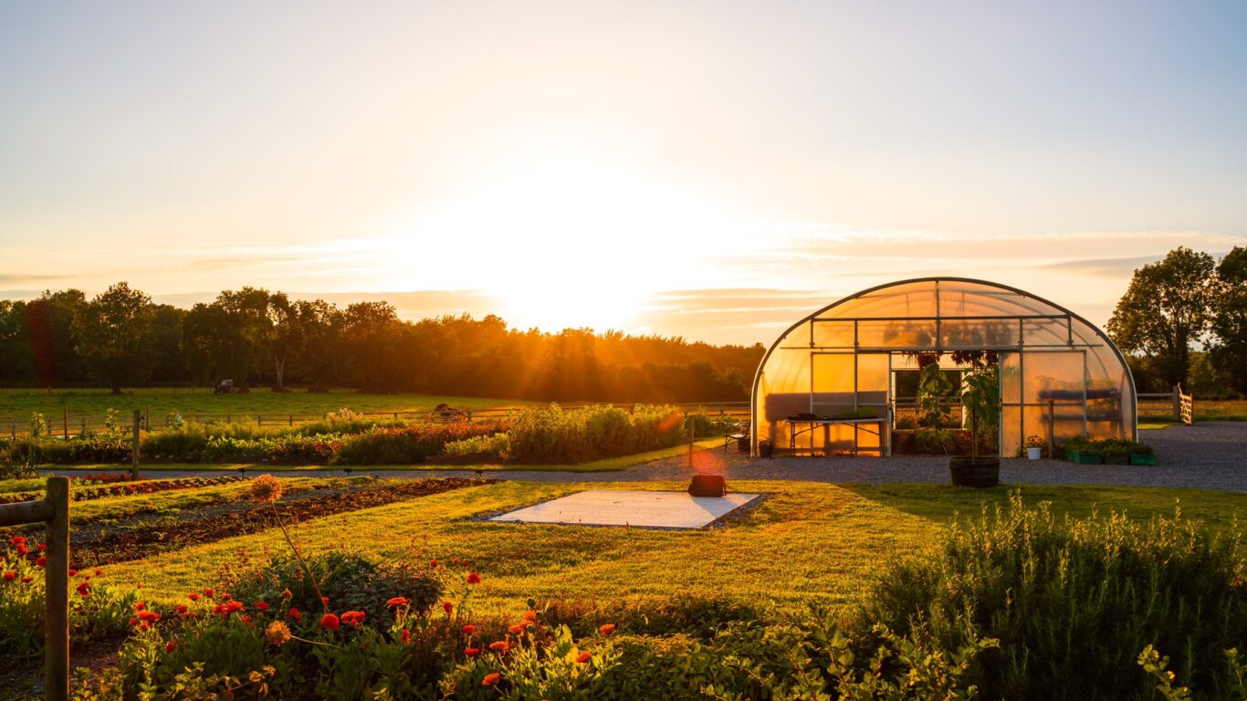 Mary’s organic garden, Adare, Co. Limerick