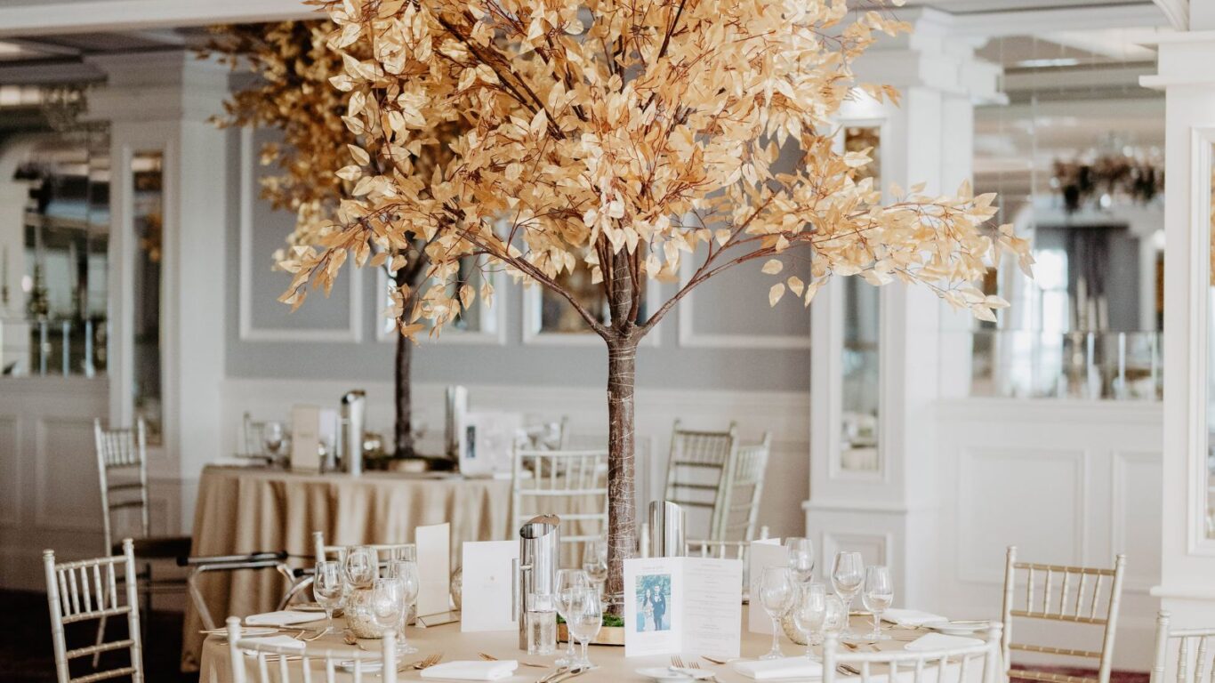 Website Pictures (1)