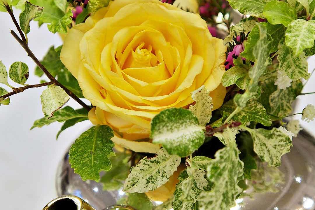 portrait-fieldings-close-up