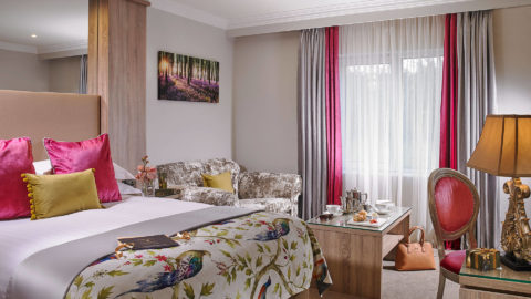woodlands-room-deluxe-02