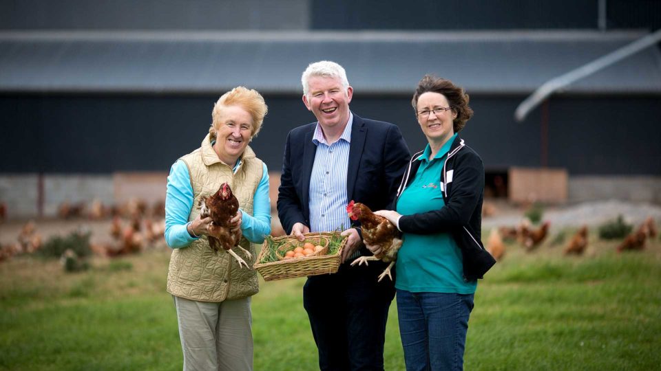 We work with a small number of trusted suppliers, sourcing a range of ingredients from them for menus right across Fitzgeralds Woodlands House Hotel & Spa.