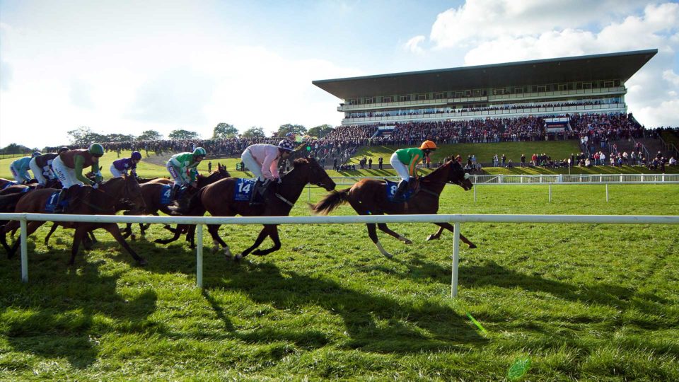 limerick-racecourse