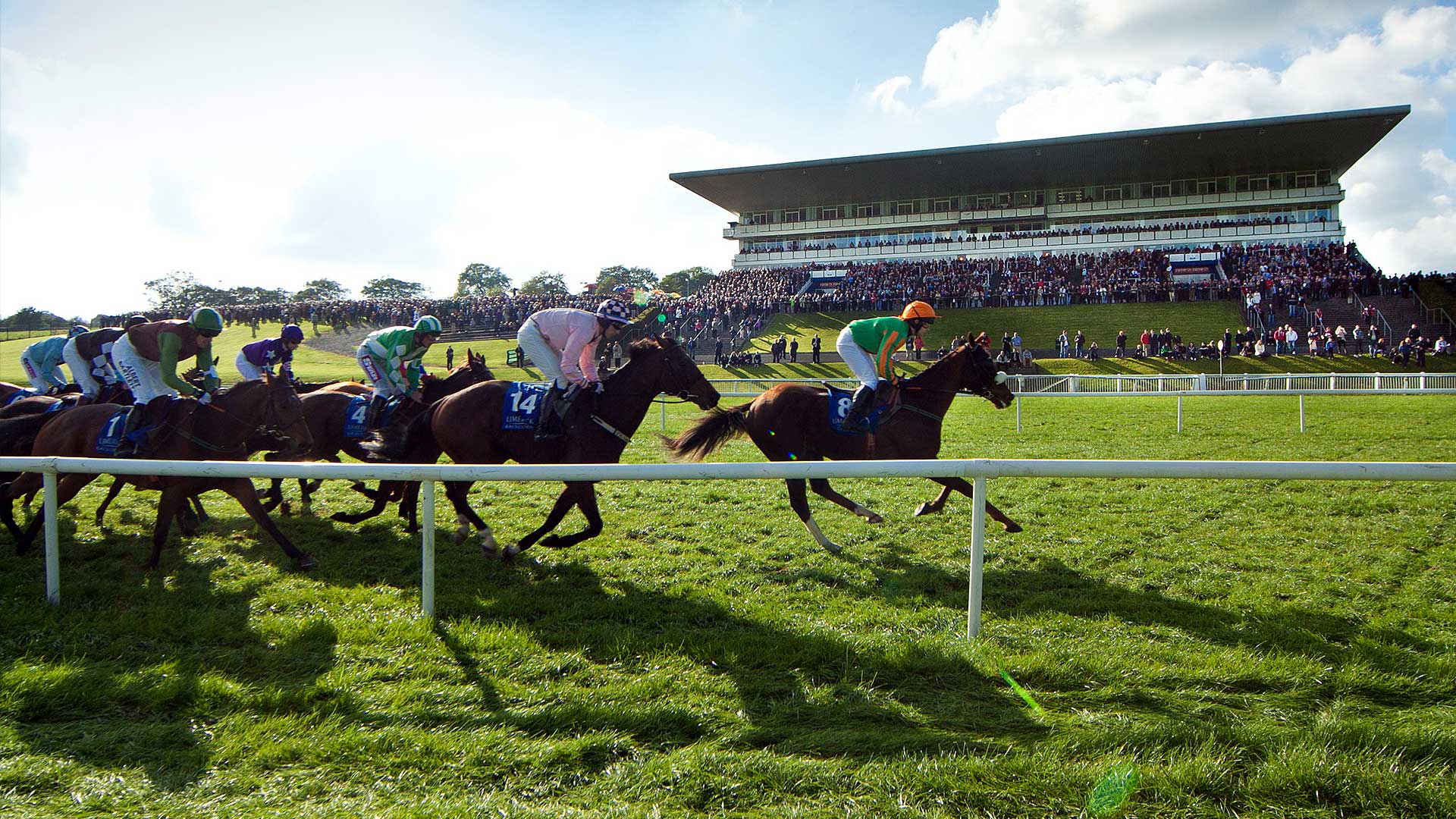 Team Building Team Building Activities Limerick Woodlands Hotel