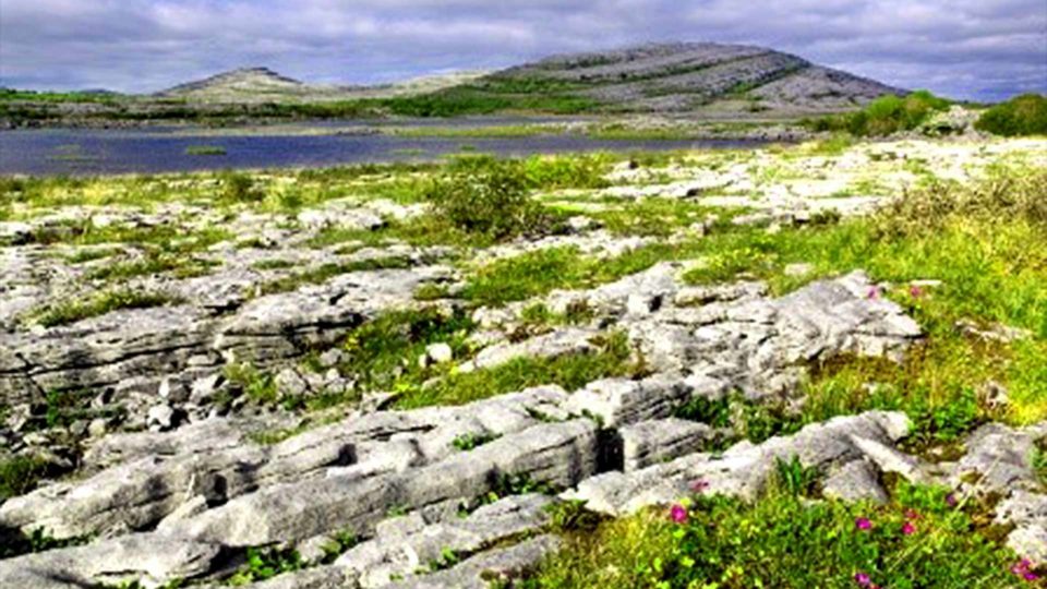 the-burren