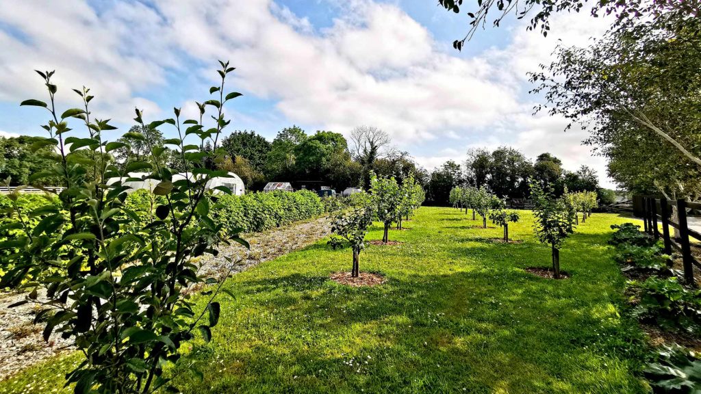 Mary’s Organic Garden holds a special place in our hearts. Located within the hotel grounds, and forming part of the Woodlands Walking Trail, Mary’s Organic Garden supplies our kitchens with many of the seasonal ingredients found on the menus in Fieldings of Adare and Timmy Macs Bistro.