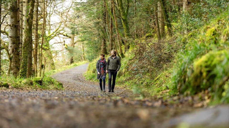 walking-forest-trail