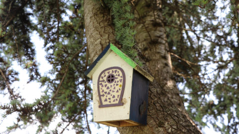 Fairy Trail Door at the Woodlands Hotel