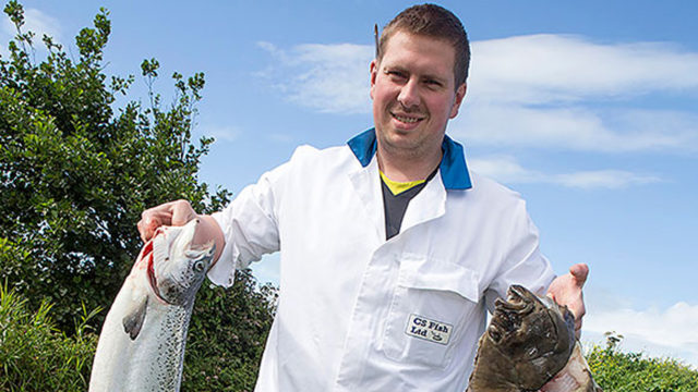 cs fish 1920 x 1080__edited-1