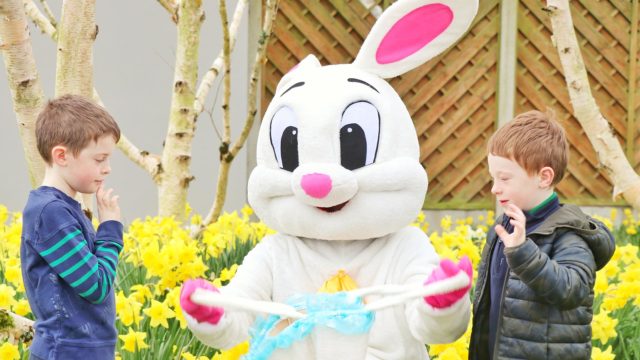 Easter Bunny at the Woodlands Hotel