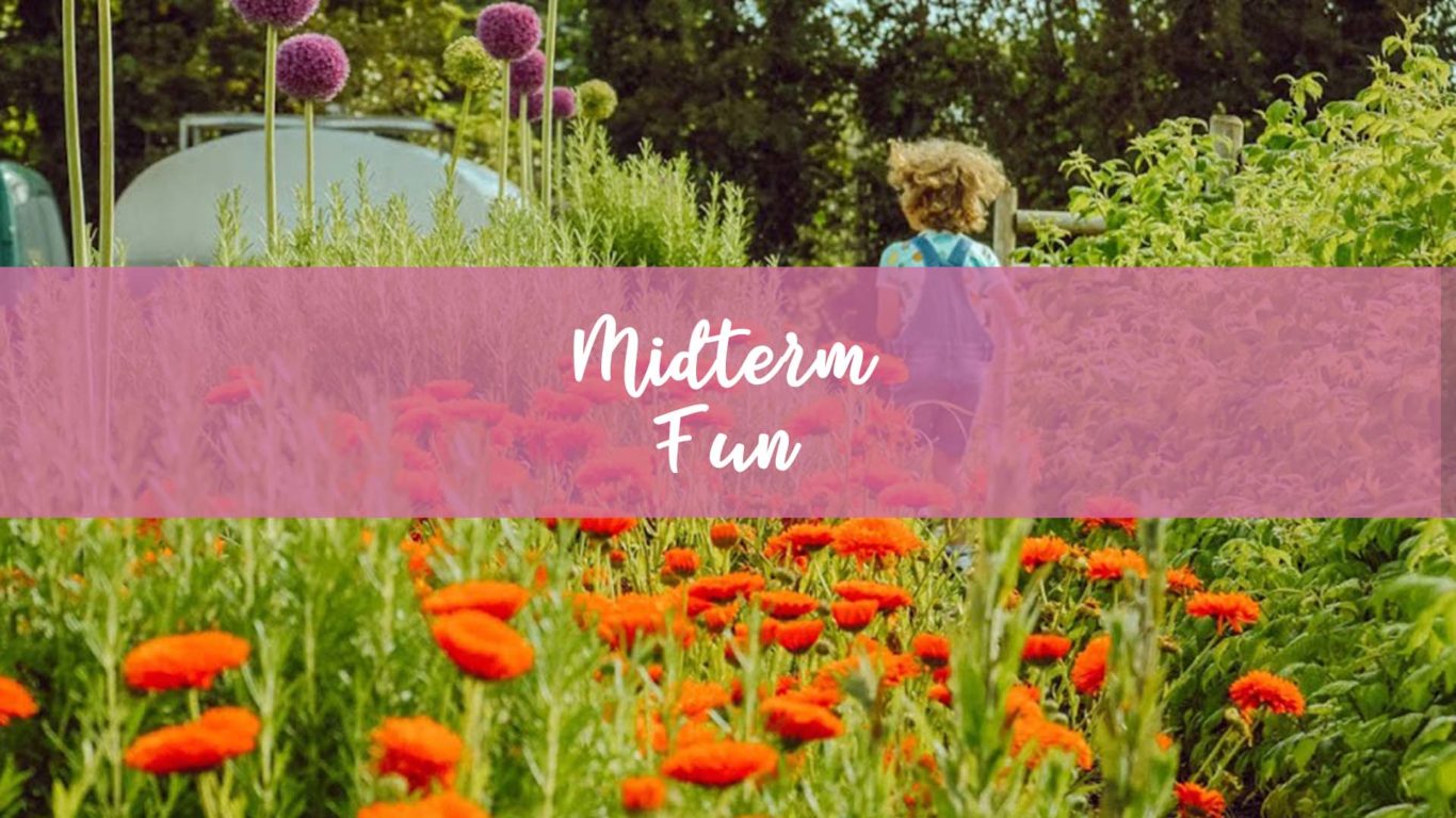 February Midterm fun at the Woodlands Hotel