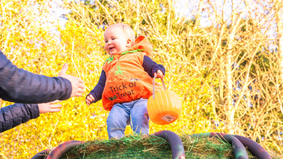 1920 x 1080 halloween