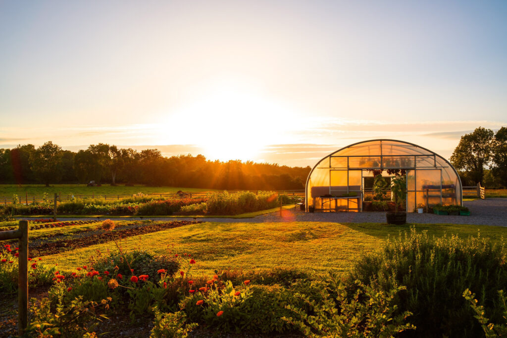 Mary's organic garden, Adare, Co. Limerick, Edit