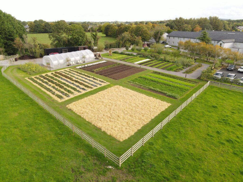 Marys Organic Garden