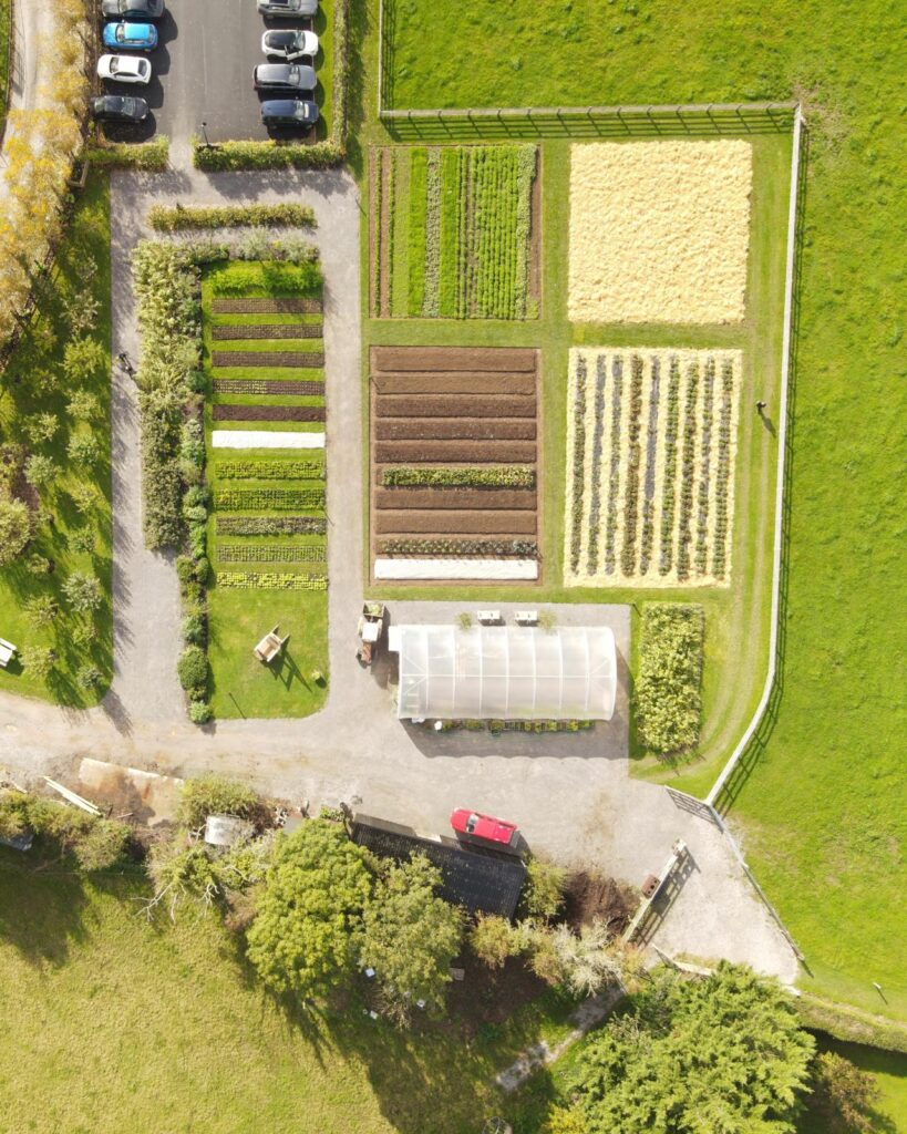 PHOTO-2022-10-17-10-18-39