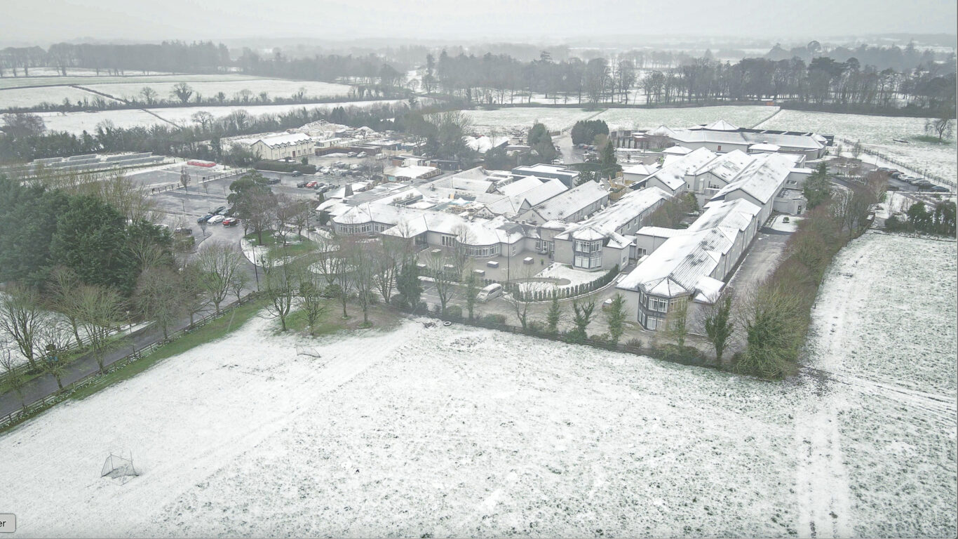 Winter at Woodlands