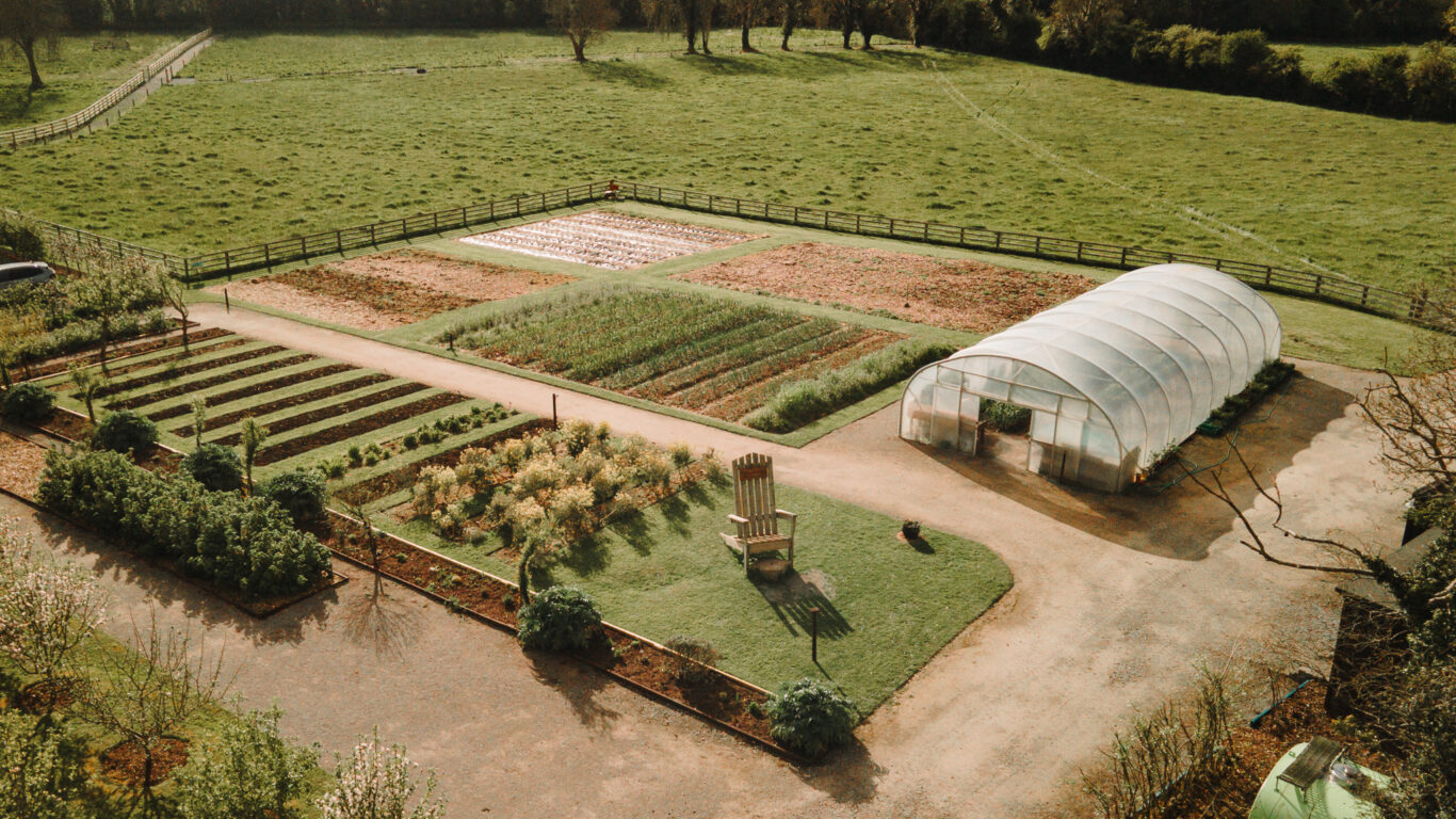 Marys Organic Garden