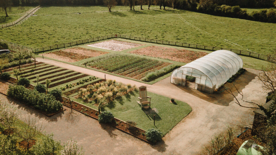 A Birds Eye view of Marys Organic Garden