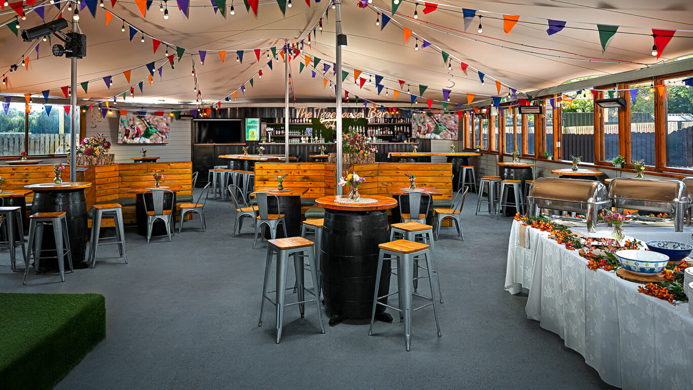 Treehouse BBQ Set Up