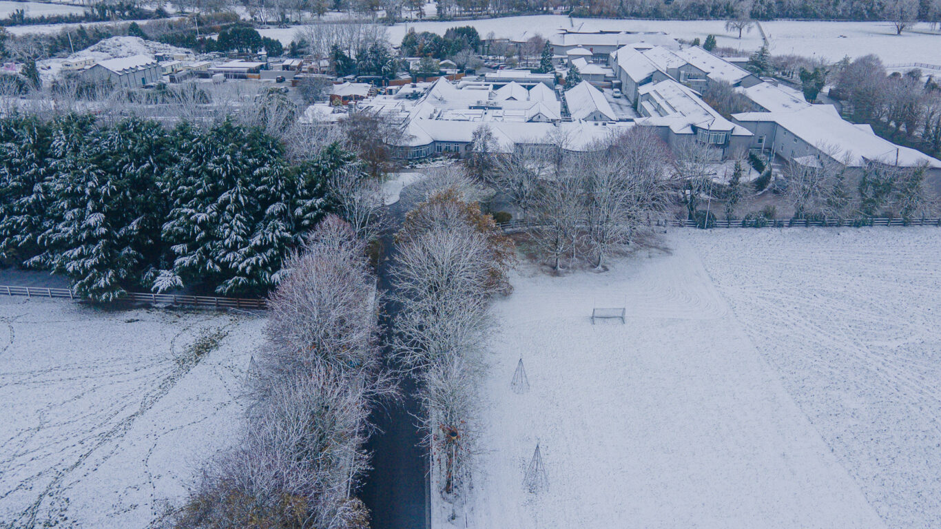 Winter at Woodlands
