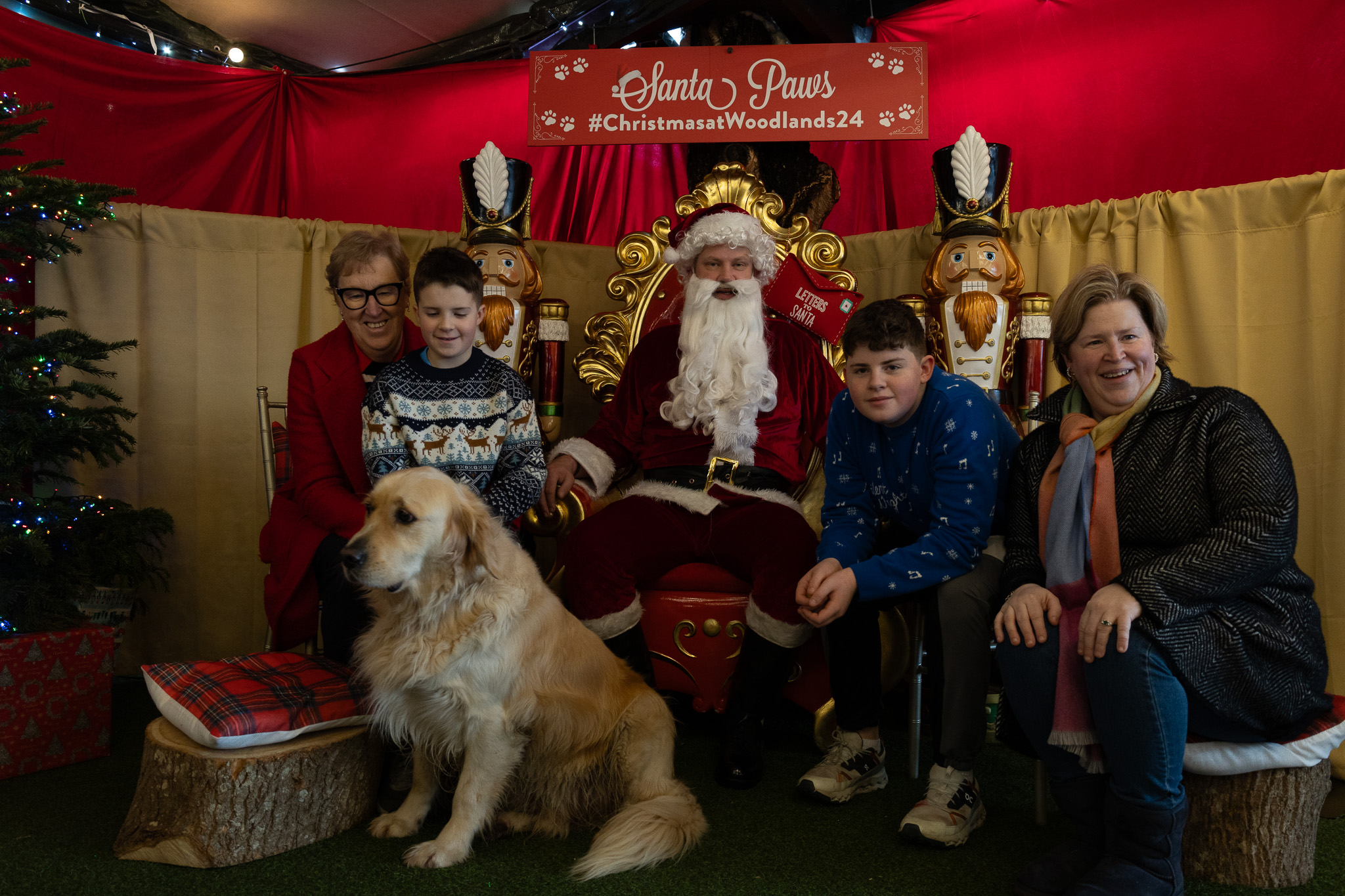 ドッグフード santa Santa Paws | Fitzgeralds Woodlands House Hotel