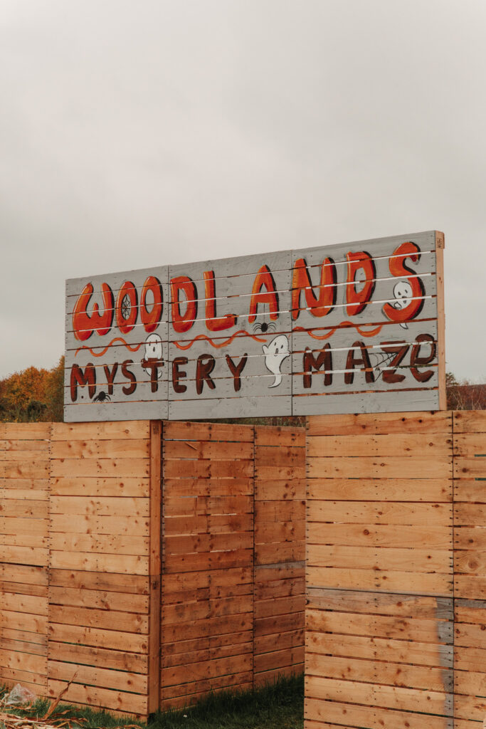 Explore the enchanting Woodlands Mystery Maze with wooden pathways, perfect for family fun and adventure seekers.