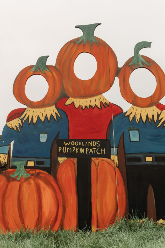 Vibrant pumpkin patch photo booth with scarecrow cut-outs at Woodlands Hotel, perfect for family photo fun.