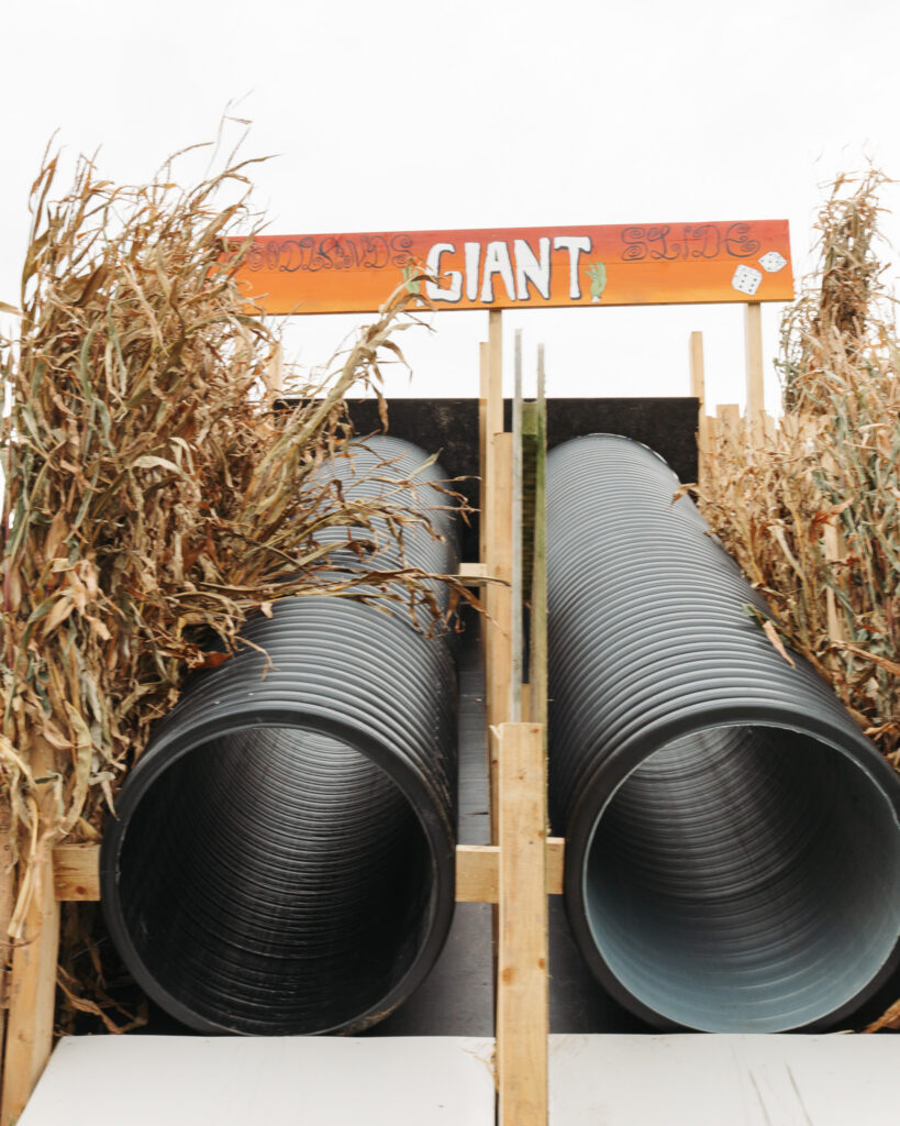 Giant slide tubes surrounded by tall corn stalks, perfect for fun and adventure at the hotel's outdoor playground.