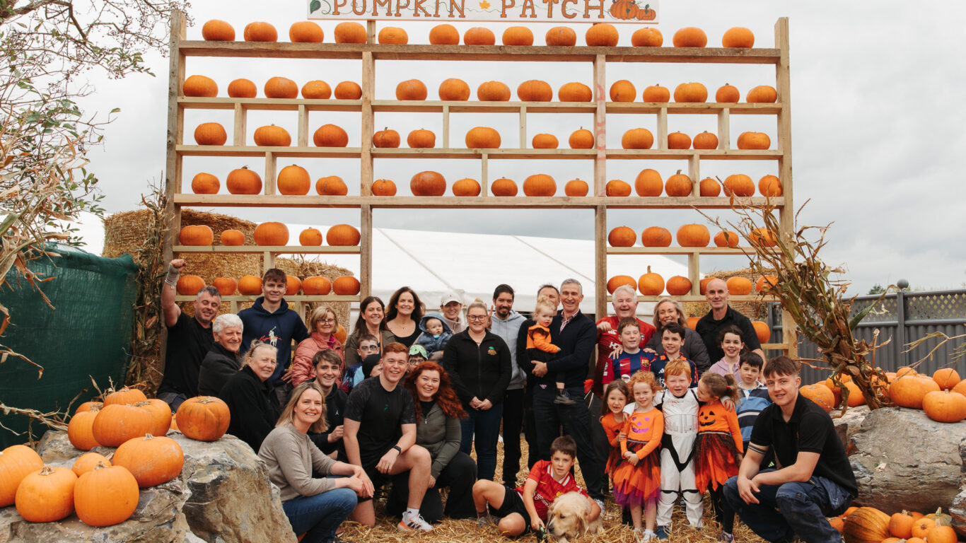 Guests enjoy festive pumpkin patch with family-friendly activities at Woodlands, perfect for a cosy autumn getaway.